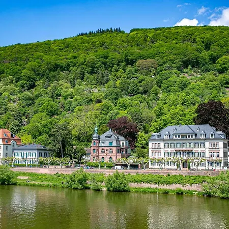 Bs Neckar Apartment Heidelberg